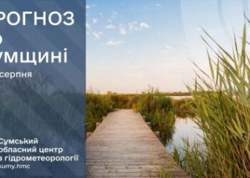 На Сумщині прогнозують спеку до +36 градусів