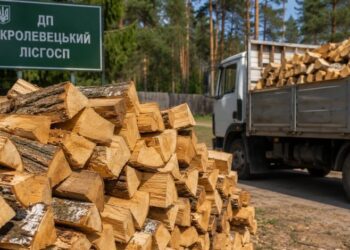 У Кролевці продають колоті дрова з доставкою