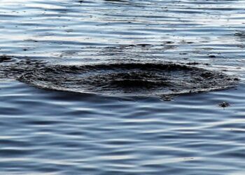 Ввечері у сусідньому районі сталася трагедія на водоймі