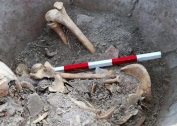 Незвичайна знахідка в колонії Деултум здивувала вчених