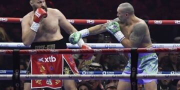 Ф’юрі розкрив план втілення потенційного бою з Усиком