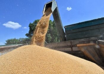 Аграрії України отримають засоби для зберігання врожаю