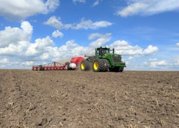Аграрії Шосткинщини продовжують посів озимих культур + Відео