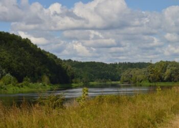 На Сумщині вихідні будуть дощовими та вітряними