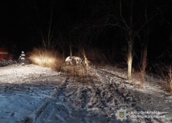 Поліція Сумщини розшукала підозрюваного у ДТП із двома загиблими: суд узяв його під варту