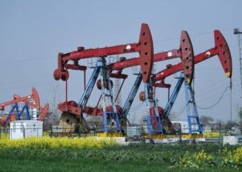 Нафта дешевшає після заяви Трампа