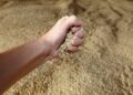 Україна виконала половину плану агроекспорту з початку жовтня