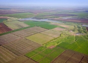 В Україні назвали середню ціну гектара землі у 2026 році