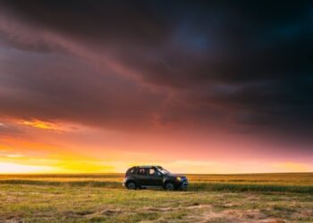 Продажі дизельних авто в Україні впали на 14%