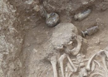 Під садом у Франції знайшли поховання віком 1700 років