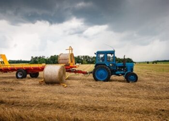 Урожай зернових та олійних в Україні перевищив 50 млн тонн