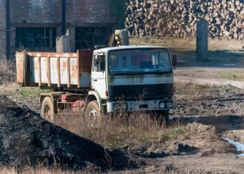Вчені натрапили на дивне явище поблизу ЧАЕС