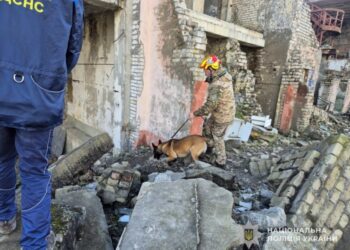Кінологи поліції Сумщини та ДСНС готують службових собак до пошуку людей під завалами
