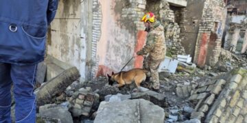 Кінологи поліції Сумщини та ДСНС готують службових собак до пошуку людей під завалами