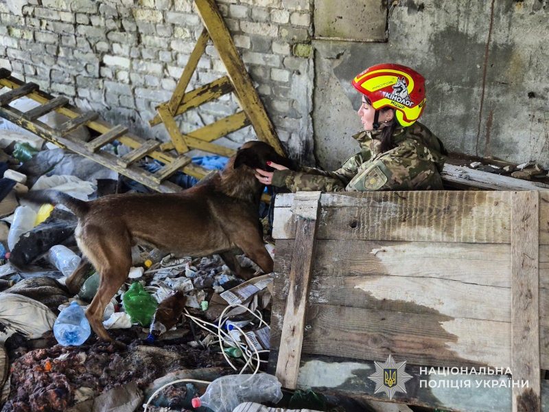 Кінологи поліції Сумщини та ДСНС готують службових собак до пошуку людей під завалами