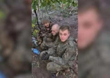 «Ми не ваєвалі, чісто покопать»: розвідники взяли в полон на Сумщині 29 окупантів, більше 100 – ліквідували