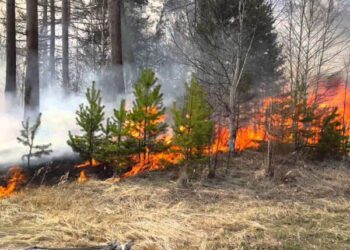 На Конотопщині з 9 до 11 жовтня прогнозують високу пожежну небезпеку