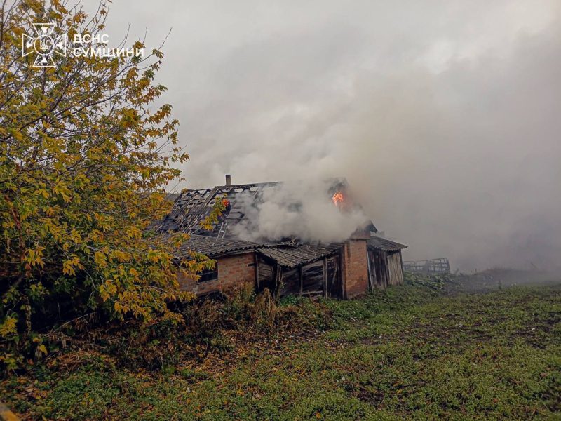 На Роменщині чоловік загинув у пожежі: вогонь охопив літню кухню та загрожував будинку
