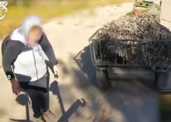 На Сумщині бабуся допомогла ЗСУ врятувати НРК, який підірвався на міні
