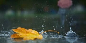 На Сумщині очікуються дощі та похолодання