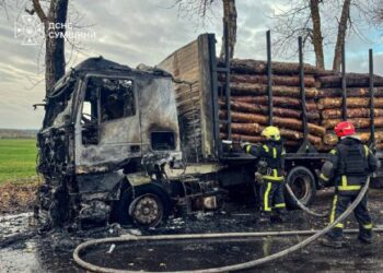 На Сумщині окупанти атакували дроном лісовоз