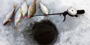 На Сумщині з 1 листопада заборонять вилов риби на зимувальних ямах