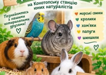 У Конотопі дітей запрошують у гості до кроликів, шиншил і папуг