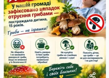 У Лебединській громаді 15-річний хлопець отруївся грибами
