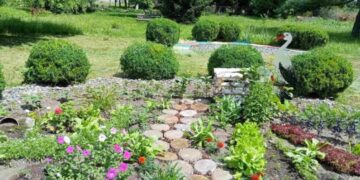 «Українське подвір’я» принесло перемогу юним натуралісткам із Конотопа + Фото